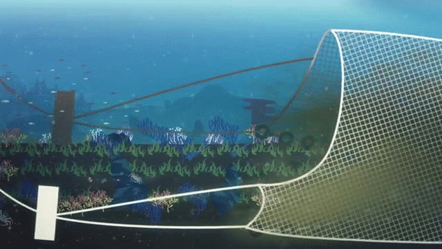 Bottom trawling for prawn feed destroys habitats and kills indiscriminately. Animation: Greenpeace.