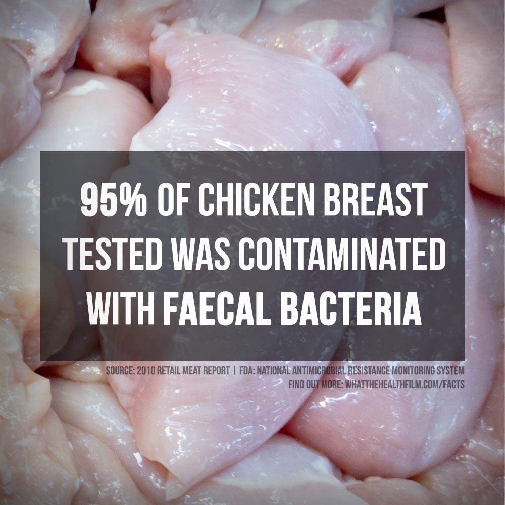 7 shocking claims in 'What the Health' (documentary) Animals Australia