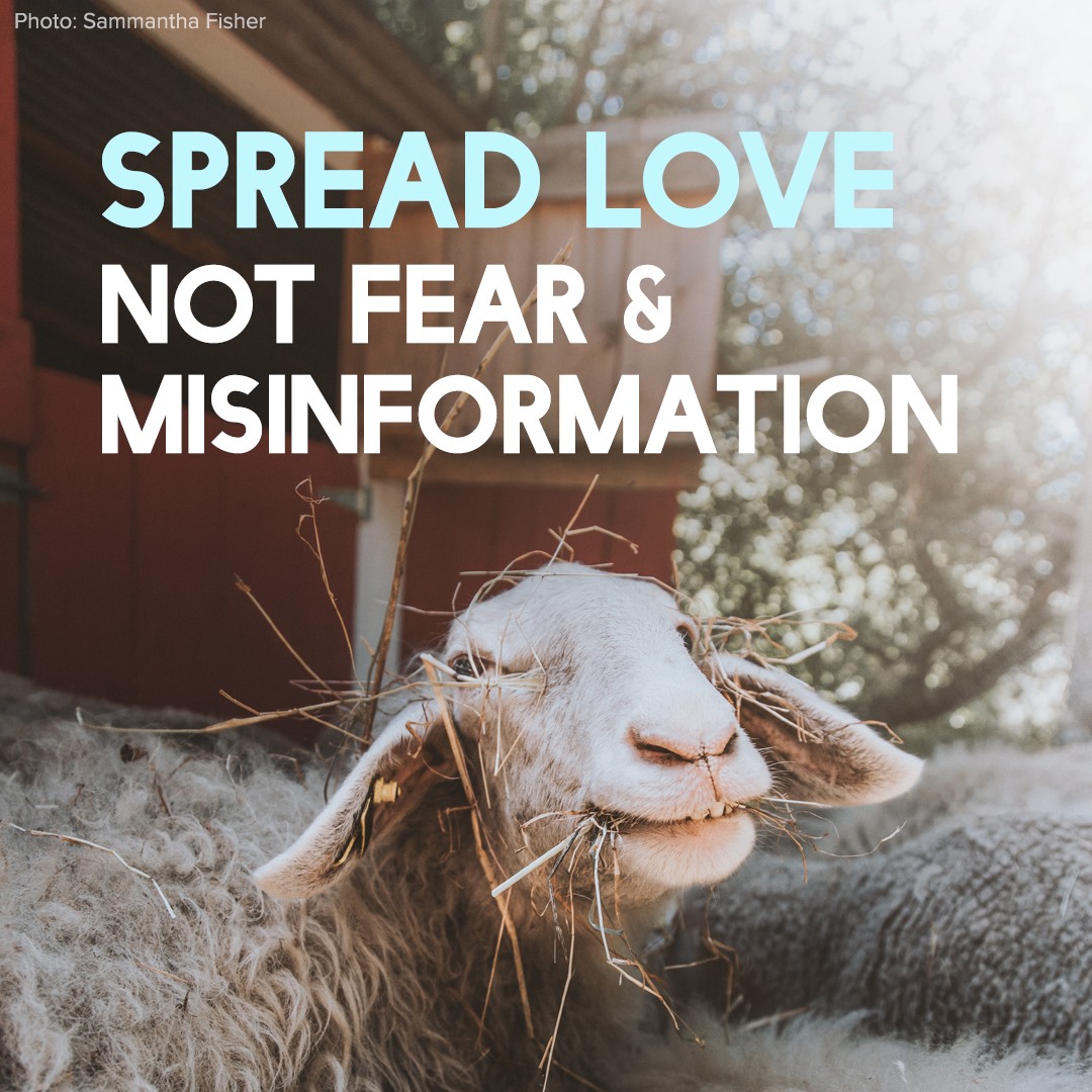 spread-love-not-fear-misinformation.jpg
