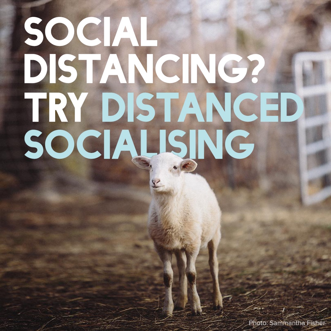 try-distanced-socialising.jpg