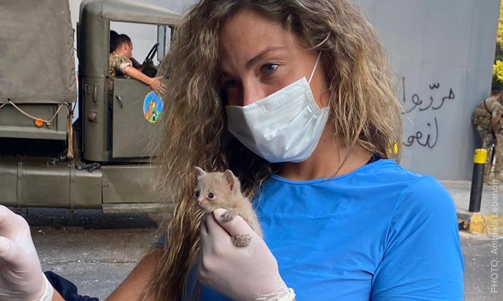 Animals Lebanon - woman wearing a mask cradles a tiny kitten