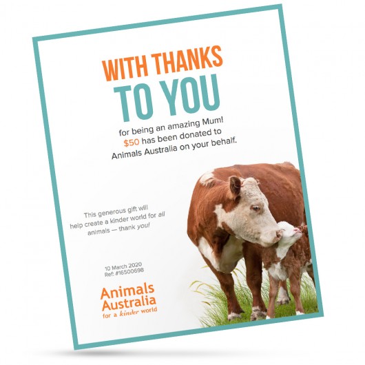 Animals Australia Mother's Day gift donation certificate
