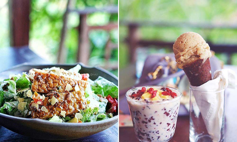 Best places to eat tasty, plant-based food in Bali - Animals Australia