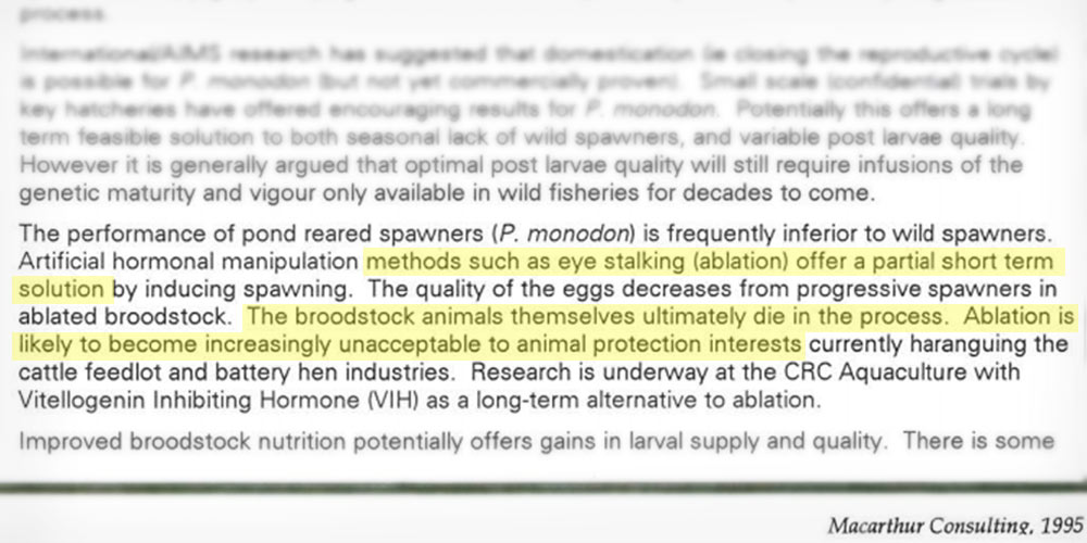 1995 prawn industry report shows that they knew ablation was unacceptable