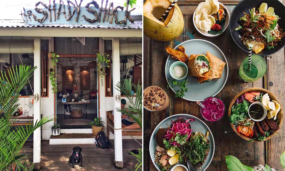 The Shady Shack, Canggu