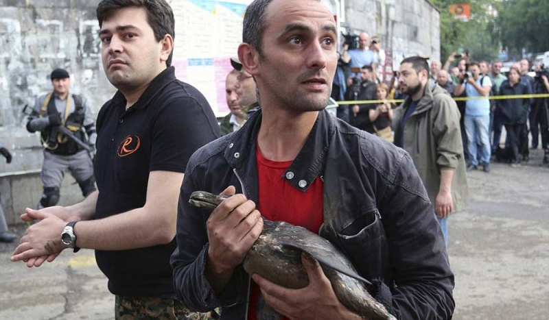 A man tries to save a penguin that had been freed from the zoo. Sadly, only 3 of the zoos 17 penguins were saved. 