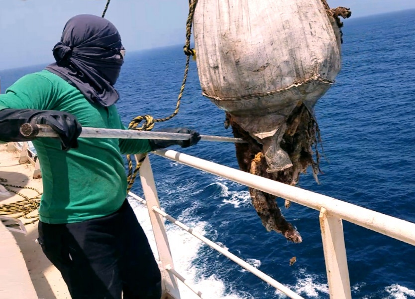 The live export industry treats our oceans as its dumping ground for waste and dead bodies.