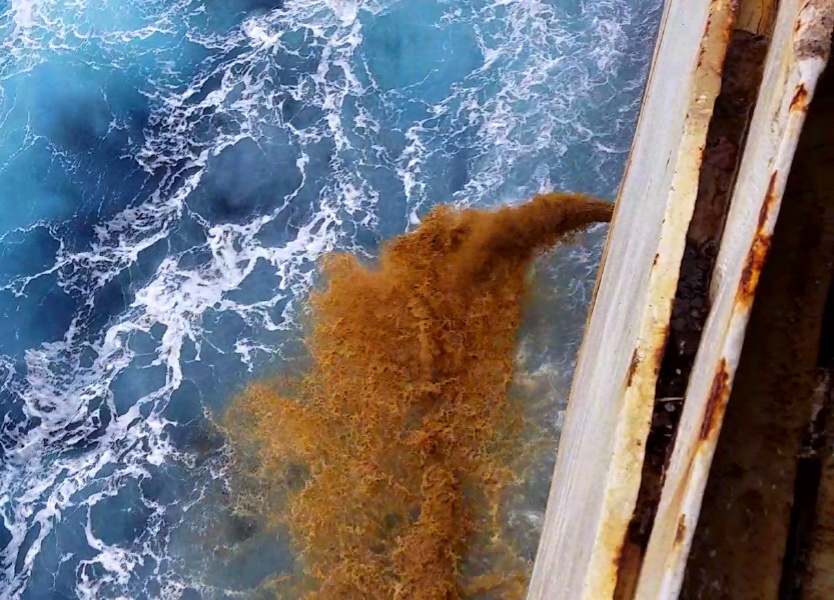 The world's fleet of live export ships dump billions of litres of untreated waste directly into the sea every year.