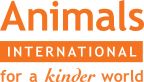 Animals International